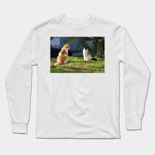 Summer Flirt Cats Fine Art Photography Long Sleeve T-Shirt